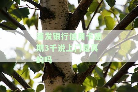 浦发银行信用卡逾期3千说上门是真的吗？