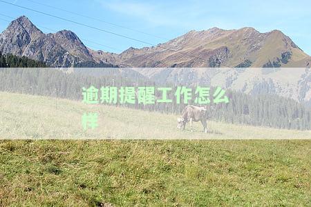 逾期提醒工作怎么样