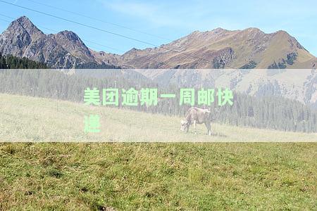美团逾期一周邮快递