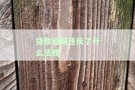 贷款逾期违反了什么法规