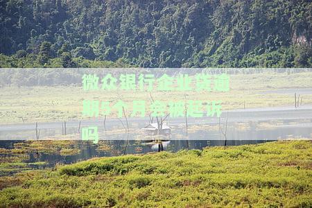 微众银行企业贷逾期5个月会被起诉吗