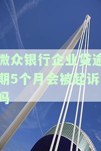 微众银行企业贷逾期5个月会被起诉吗