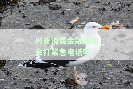 兴业消费金融逾期会打紧急电话吗