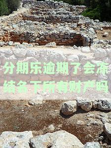 分期乐逾期了会冻结名下所有财产吗