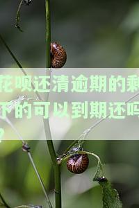 花呗逾期款还清，可以慢慢还吗？