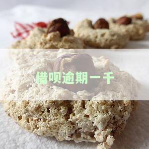 借呗逾期一千