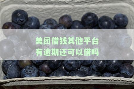 美团借钱其他平台逾期还能借吗？安全可靠？