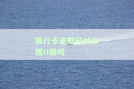银行卡逾期可以办理U盾吗