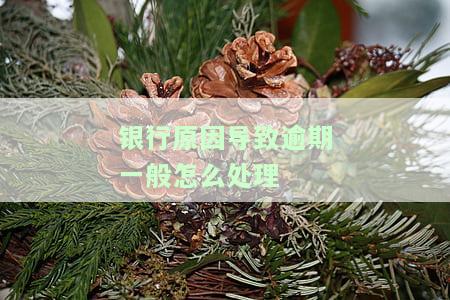 银行原因导致逾期一般怎么处理好及赔偿方式