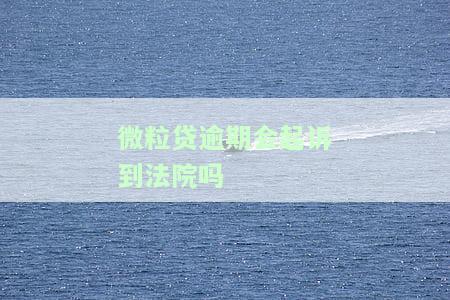 微粒贷逾期起诉是刑事还是民事案件的立案标准