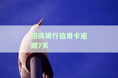 招商银行信用卡逾期7天会有不良记录吗？