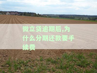 微立贷逾期怎么处理欠款及可信度、催收方式