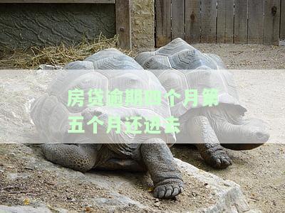 房贷逾期四个月又还上会怎么样
