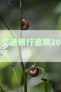 交行逾期20天还进去还可以刷出来吗？