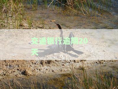 交通银行逾期20天