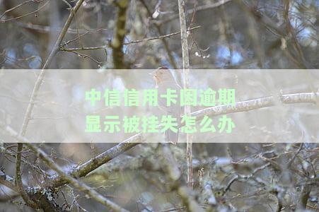 中信信用卡因逾期显示被挂失怎么办