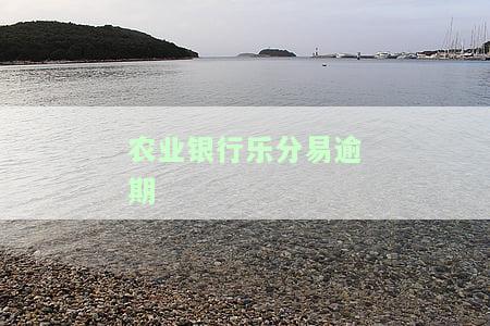 农行乐分易逾期被起诉了怎么办，乐分易属于信用卡吗，还不上怎么办，乐分易上征信吗，被拒后怎么重新申请
