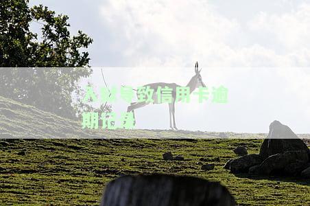 入狱导致信用卡逾期记录怎么办