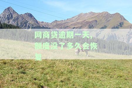 网商贷逾期一天,额度没了多久会恢复正常使用