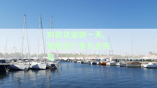 网商贷逾期一天就没有额度了，何时恢复，怎么办？