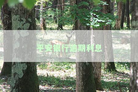 平安银行逾期利息怎么减免申请，罚息是多少？