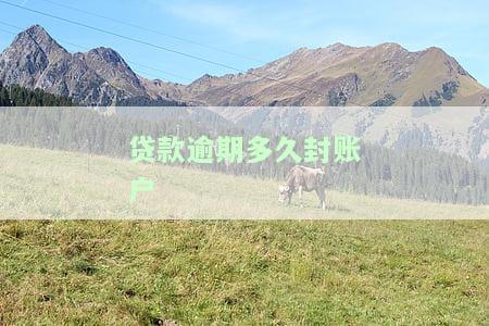 贷款逾期多久会被冻结银行卡账户及资金？