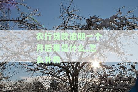 农行贷款逾期几天了怎么办会有影响吗