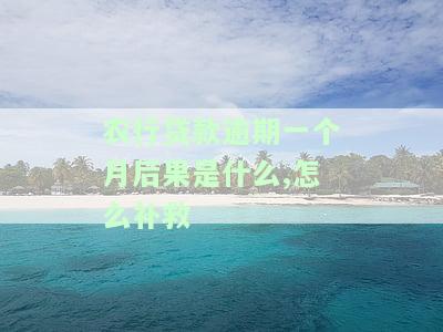 农行贷款逾期一个月后果是什么,怎么补救