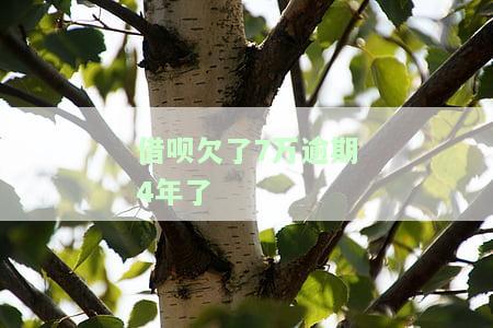 借呗欠了7万逾期4年了