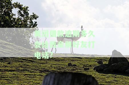 美团借款逾期多久会给我亲朋好友打电话?