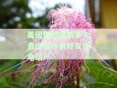 美团借款逾期多久会给我亲朋好友打电话?
