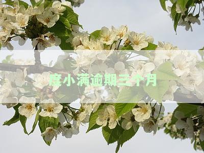 度小满逾期三个月要诉讼程序，能先还一部分，让他不起诉吗？