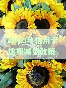 2023年信用卡逾期减免政策是什么时候