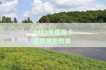 2023年信用卡逾期减免政策