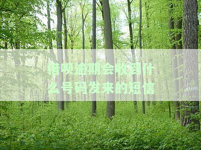 借呗逾期会收到什么号码发来的短信
