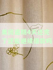 美团逾期4天还完了还能继续借款吗及其处理方法