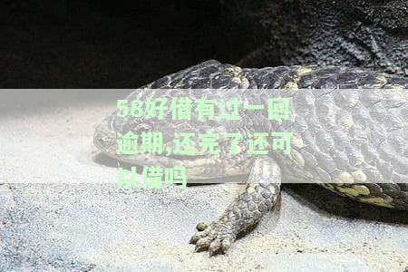 58好借有过一回逾期,还完了还可以借吗