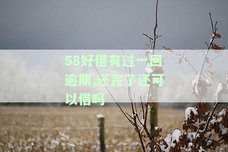 58好借逾期一次还清后可以再次借款吗，安全吗？