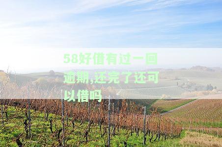 58好借逾期了一天还清后还可以再借吗？