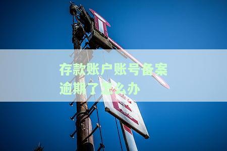 存款账户账号备案逾期了怎么办
