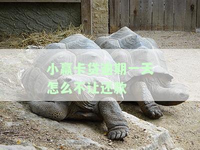 小赢卡贷了一天还款怎么办，晚上10点之后还不了款，逾期4天会上征信吗？逾期一天会打所有联系人吗？有宽限期三天是真的吗？