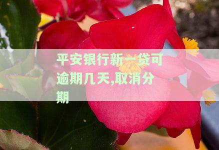 平安银行新一贷逾期利息可以减免吗？