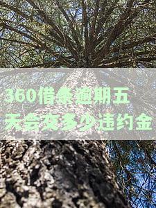 360借条逾期五天会交多少违约金