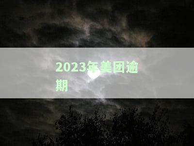 2023年美团逾期