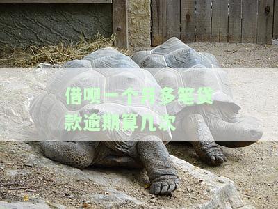 借呗一个月多笔贷款逾期算几次