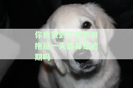 你我贷到了还款日拖延一天都算是逾期吗