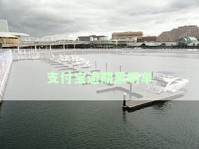 支付宝逾期黑明单