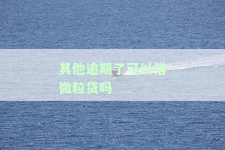 其他贷款有逾期能借微粒贷吗？