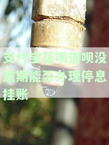 支付宝花呗借呗没逾期能否办理停息挂账