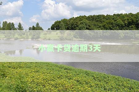 小赢卡贷逾期3天